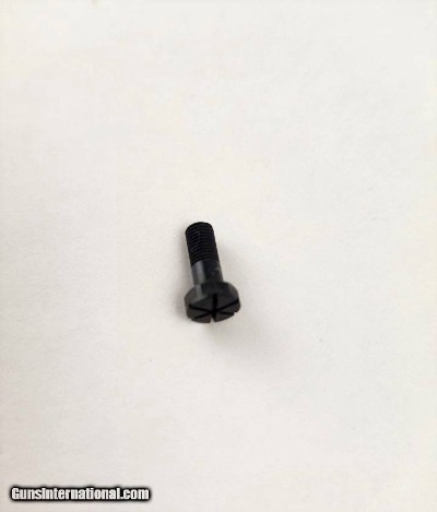 Blaser F3 trigger plate screw