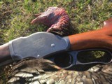 Winchester Model 1901 10 Gauge