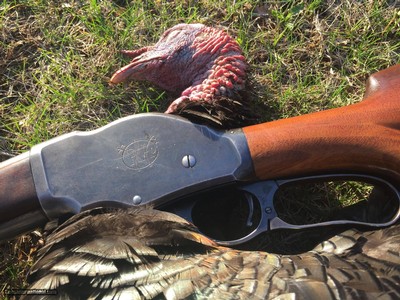 Winchester Model 1901 10 Gauge