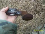 Colt US Cavalry - 6 of 6