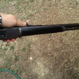 Winchester 1873 Short Rifle - 8 of 12