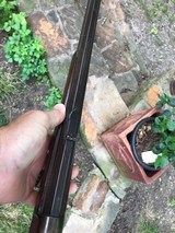 50 Express 1886 Winchester - 7 of 7