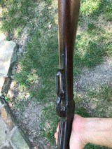 Winchester 1886 Carbine - 7 of 8