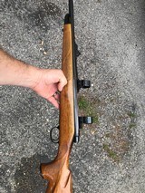 Remington BDL 700.
25-06 - 5 of 6