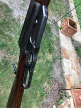 Fine Winchester 1895 circa 1908 - 3 of 7