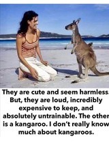 Browning Citori 20ga 26 inMod/IC - 2 of 5