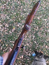 Colt Sauer 7mm Mag - 3 of 6