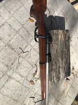 Kimber of Oregon Custom - 2 of 7