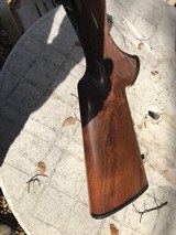 Kimber of Oregon Custom - 4 of 7