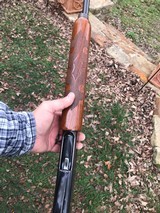 Remington 1100.
20 gauge - 10 of 10