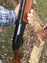 Remington 1100.20 gauge
