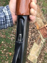 Remington 1100.
20 gauge - 7 of 10