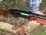 Remington 1100
20 gauge - 8 of 8