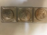 Graded Silver dollars - 4 of 15