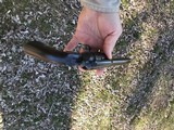 Rare Colt 44 Russian/ S&W Special - 5 of 7
