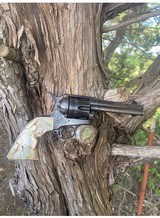 Texas shipped Colt to Texas State Senator - 1 of 5