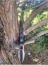 Texas shipped Colt to Texas State Senator - 2 of 5