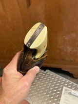 Antique 1895 Colt saa 44-40 with Ivory - Image 2 of 7