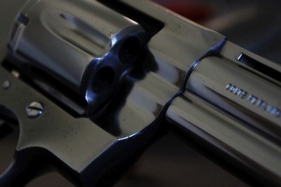 1981 Royal Blue 4” Colt Python ~ Blue Stag Grips ~ Bucheimer Shoulder Rig - Image 16 of 20
