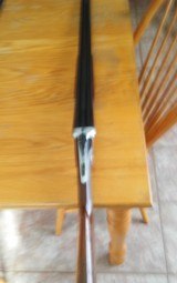 Beretta sxs Silver Fox - 1 of 6