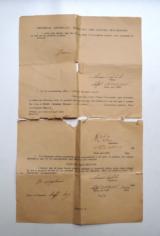 P38 44 BYF (MAUSER) NAZI MARKED RIG WITH BRING BACK PAPERS - 10 of 11