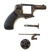 BELGIUM PIN FIRE VELO DOG GUN - ENGRAVED - 8 of 8