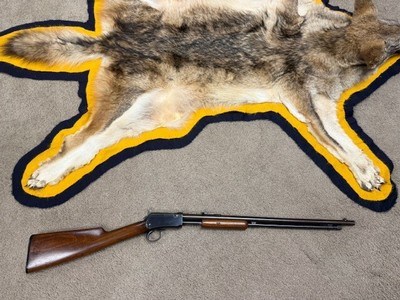 Winchester Model 1906, 22 Short, 2nd Year Production