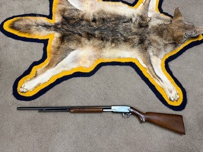RARE Winchester Model 61 