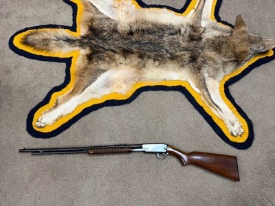 EXPERIMENTAL Winchester Model 61 in .22 W.M.R