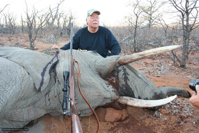 TROPHY BULL ELEPHANT IMPORTABLE TO THE USA - Image 8 of 9