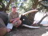 TROPHY BULL ELEPHANT IMPORTABLE TO THE USA - 9 of 9