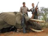 TROPHY BULL ELEPHANT IMPORTABLE TO THE USA - 3 of 9