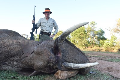 TROPHY BULL ELEPHANT IMPORTABLE TO THE USA - Image 5 of 9