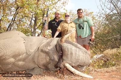 TROPHY BULL ELEPHANT IMPORTABLE TO THE USA - Image 7 of 9