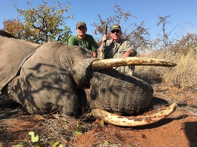 TROPHY BULL ELEPHANT IMPORTABLE TO THE USA - Image 6 of 9