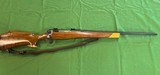Eddystone M1917 Sporter in 30.06
