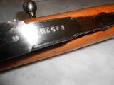Radom Arsenal Type M44 Rifle with folding bayonet. New in grease - 12 of 12