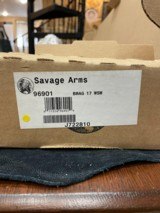 Savage Arms, BMAG, .17 WSM - 9 of 9