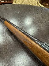 CZ 527 American, .204 Ruger - 5 of 18