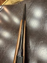 CZ 527 American, .204 Ruger - 9 of 18