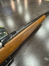 CZ 527 American, .204 Ruger - 13 of 18