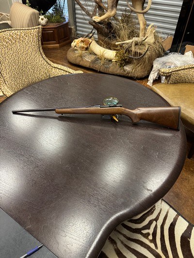 CZ 527 American, .204 Ruger