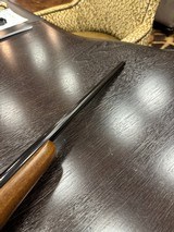 CZ 527 American, .204 Ruger - 14 of 18