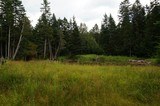 Vermont hunting property - 1 of 4