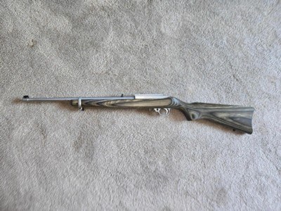 Ruger 10/22 Stainless Laminated