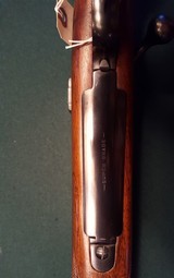 Winchester. Model 70."Super Grade" - 12 of 15