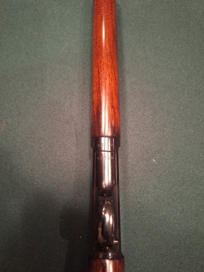 Winchester. Model 1903 semi auto rifle - Image 10 of 14