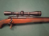Winchester.  Model 70 bolt action rifle. Cal. 25-06. PRE 64 - Image 4 of 15