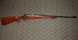 WINCHESTER 1950 MODEL 70 257 ROBERTS - 2 of 5