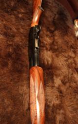 Winchester M12 Deluxe 'Super Field' 16GA w/factory Vent Rib 26" barrel ImpCyl - 6 of 12